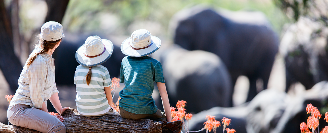 5 Top Tips When Planning A Family Safari